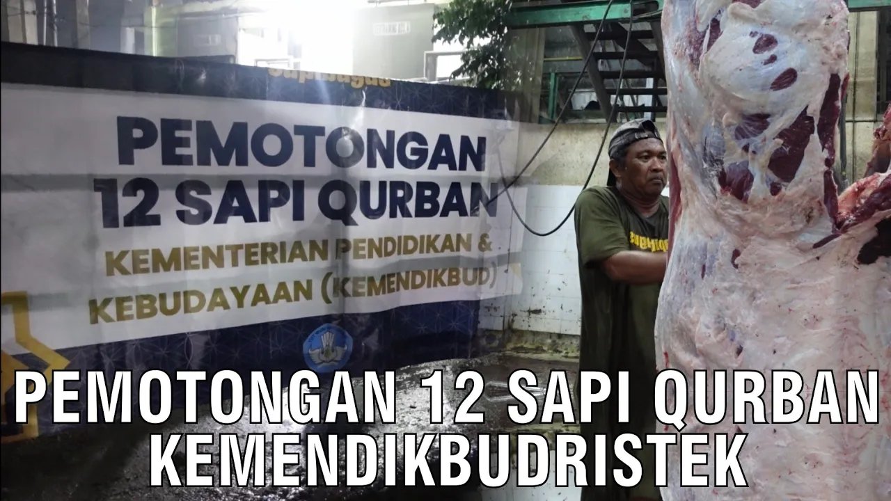 
                                 Penyembelihan-12-Sapi-Qurban-Kemendikbudristek